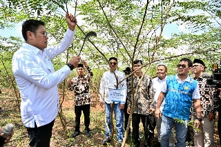 PLN Bersama Kementan Luncurkan Model Pertanian Terpadu