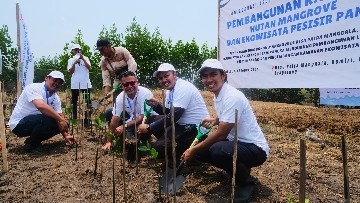 ASDP Tanam 3000 Pohon Mangrove di Tangerang