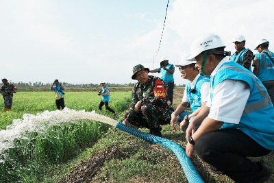 Dukung Pertanian di Merauke, PLN Listriki Area Sawah Garapan Kementan-TNI