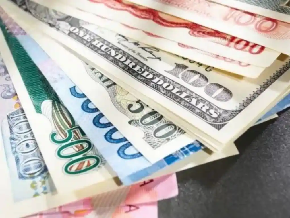 DPK Valas Terus Naik, Pengamat: Perbankan Perlu Perkuat Layanan Multicurrency