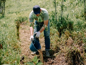 Waskita Beton Precast Tanam 680 Pohon Trembesi pada Hari Menanam Pohon Indonesia