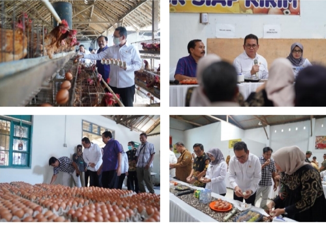 Mendag Busan Tinjau Pasokan Telur di Blitar, Stok Aman Jelang Puasa