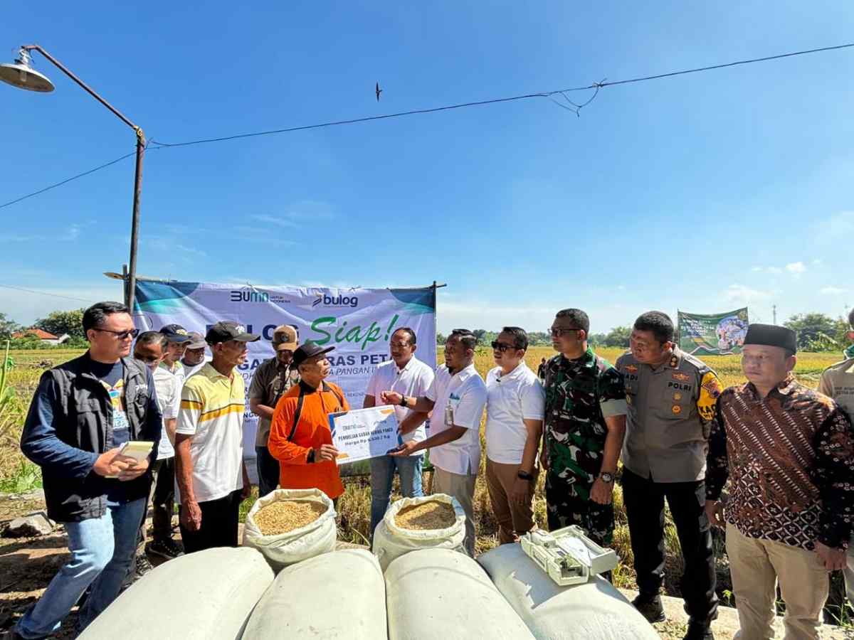 Tembus 1 Juta Ton, BULOG Terus Optimalkan Penyerapan Gabah dan Beras, Manfaatkan Momentum Panen Raya