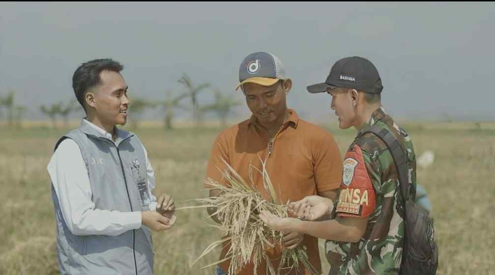 Serapan Tembus 2.000.524 Ton Setara Beras, Stok Bulog Tembus 3,6 Juta Ton
