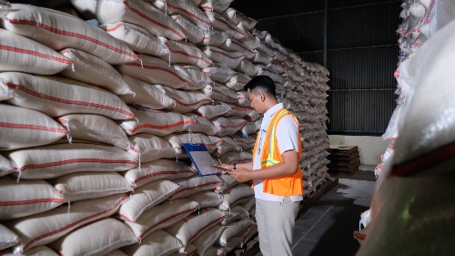 Serapan Membludak, Begini Cara BULOG Jaga Kualitas Beras di Gudang