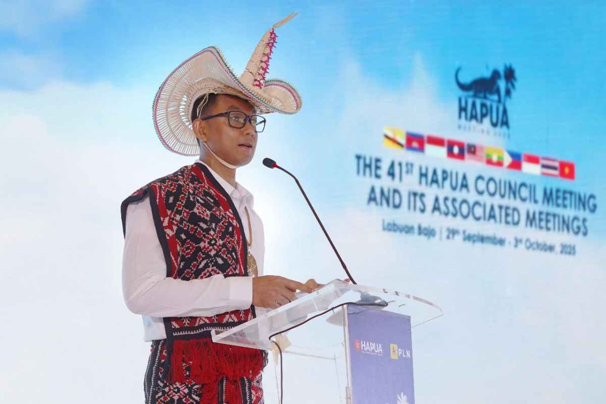 Kebut Transisi Energi Bersih, PLN Dorong Interkoneksi ASEAN Power Grid 