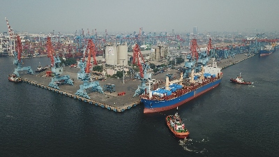 Hingga Triwulan III 2025, PTP Nonpetikemas Mencatat Peningkatan Produktivitas di berbagai Cabang Pelabuhan