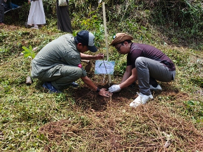 Program TESA: Menanam Pohon, Menumbuhkan Harapan