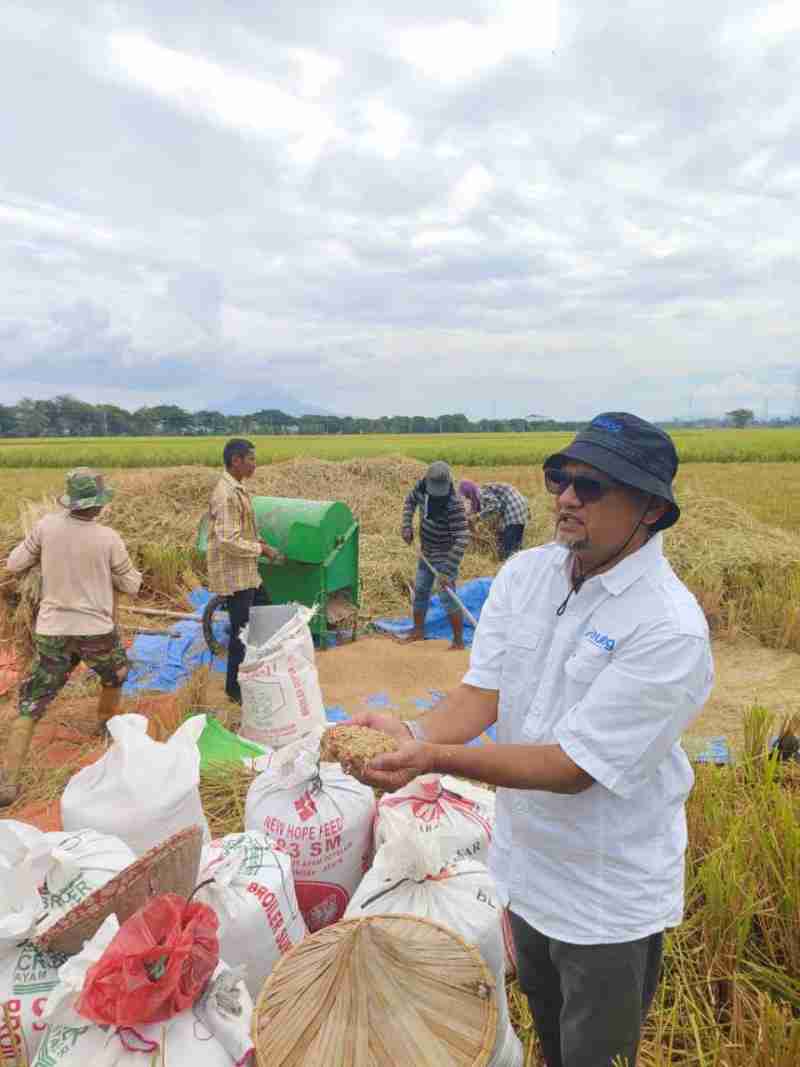 BULOG Seluruh Indonesia Mulai Serap Gabah dan Beras Dalam Negeri di Awal 2026