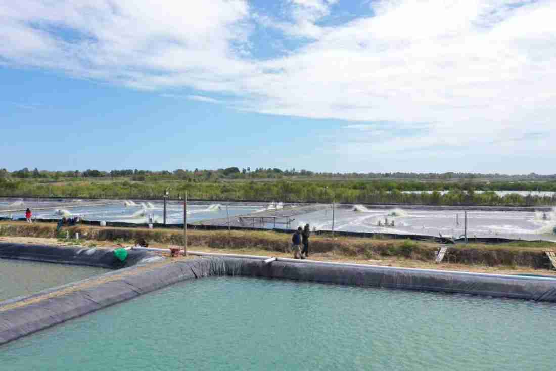 PLN Catat Penjualan Listrik 317,69 TWh di 2025, Tumbuh 3,75 Persen