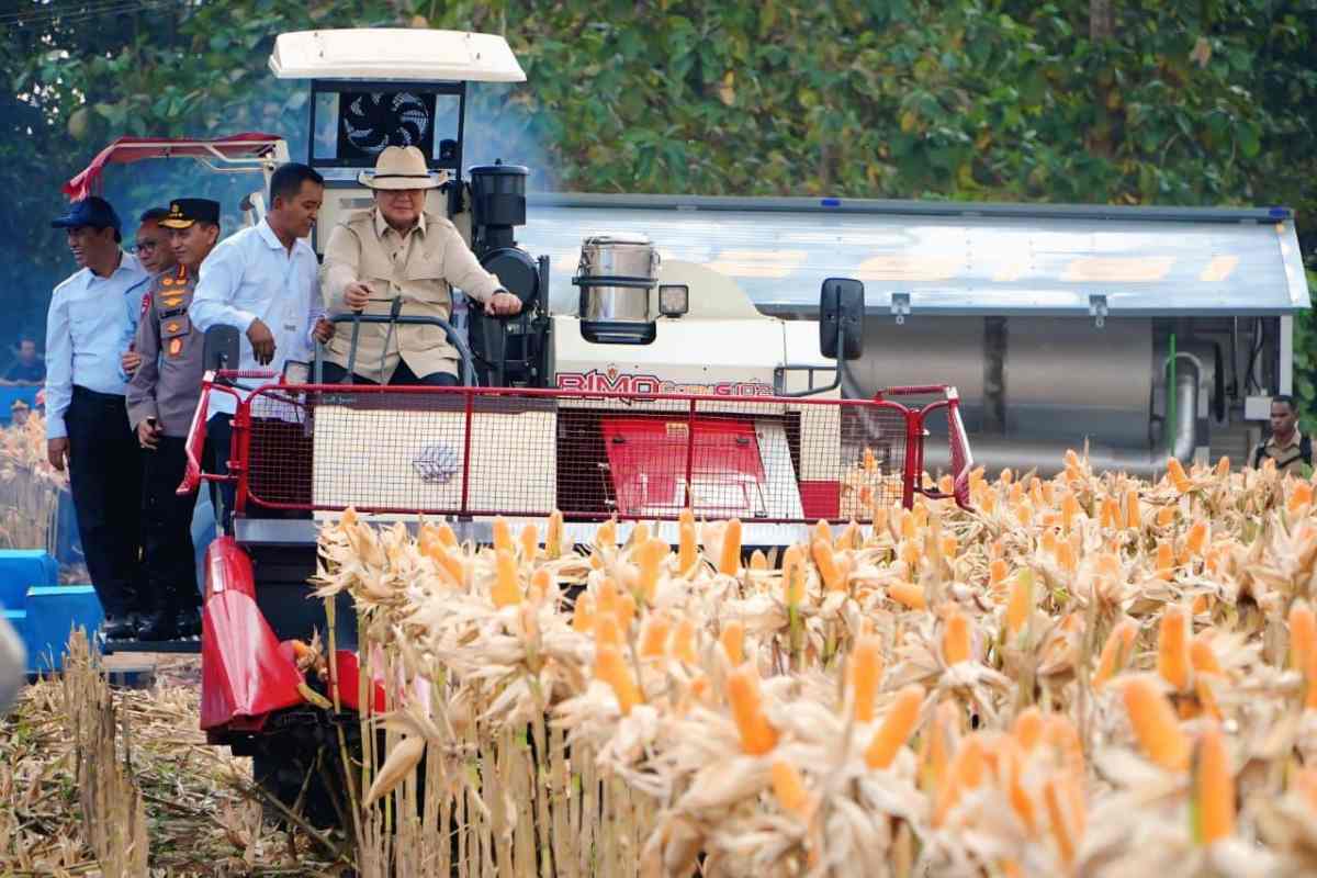 Perum BULOG Serap Hasil Panen Raya Jagung Kuartal II, Perkuat Sinergi dengan Polri untuk Swasembada Pangan Berkelanjutan