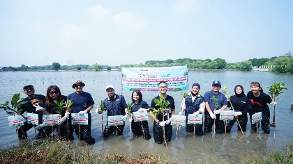 Kolaborasi Pelindo, Bukalapak dan VJI, Tanam Ratusan Mangrove di Pesisir Muara Gembong
