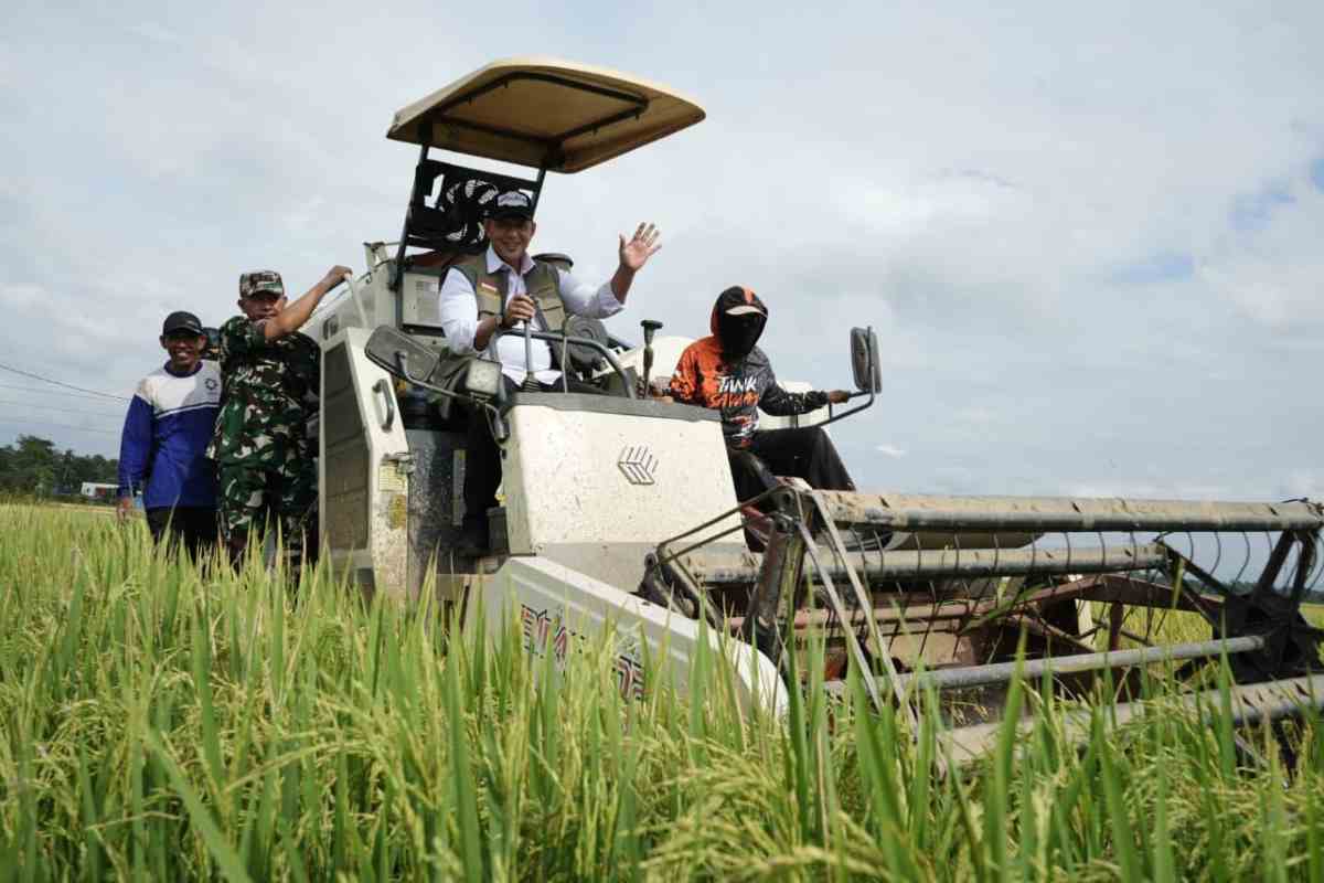 Perum BULOG Terus Menyerap Gabah Beras Petani Dalam Negeri Sepanjang Tahun sesuai Penugasan Pemerintah