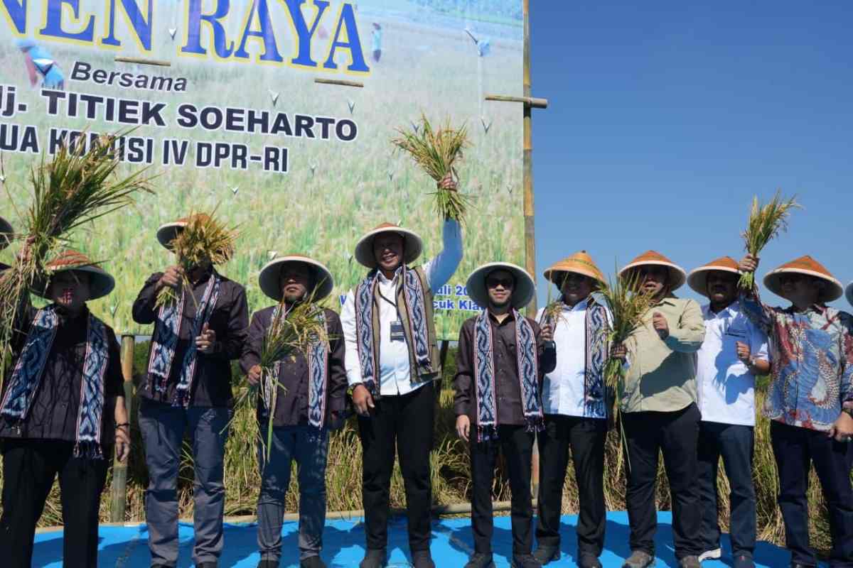 Perum BULOG dan Komisi IV DPR Dukung Kesejahteraan Petani di Klaten