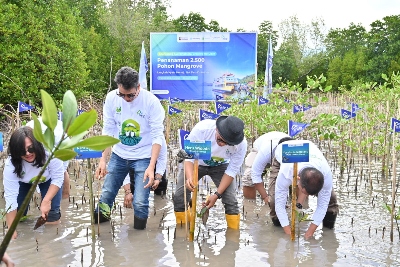 ASDP Tanam 2.500 Mangrove di Kawasan Pesisir Pagimana, Banggai Sulawesi Tengah
