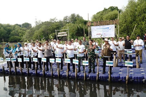 IPC TPK Dukung Rehabilitasi Mangrove di Pesisir Jakarta