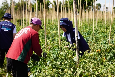 Relawan Bakti BUMN Batch IX, Pelindo Jadi Salah Satu PIC di Langowan, Sulawesi Utara