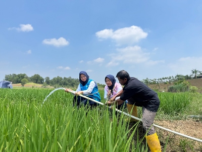 Electrifying Agriculture PLN, Bantu Jaga Produktivitas Petani di Musim Kemarau